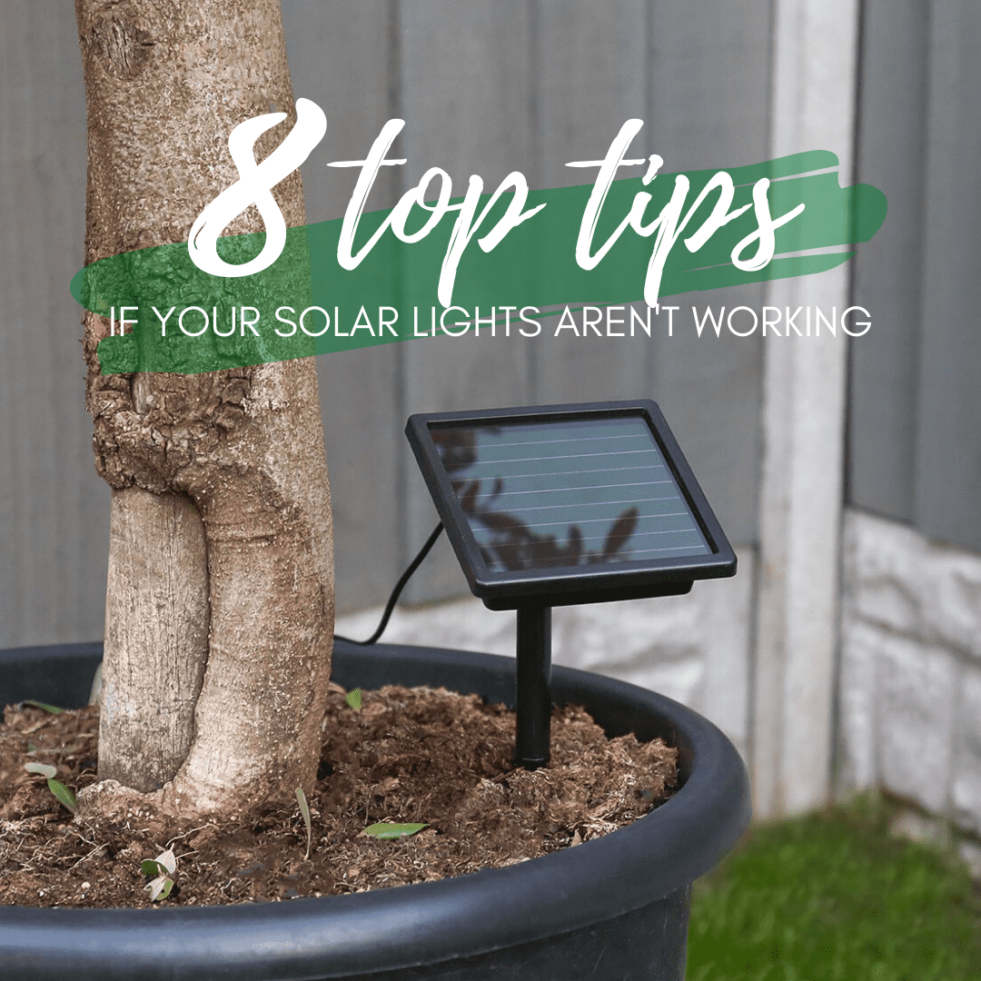 8 things to do if your solar powered lights aren’t working