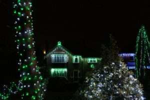 Installing Christmas lights on a tree