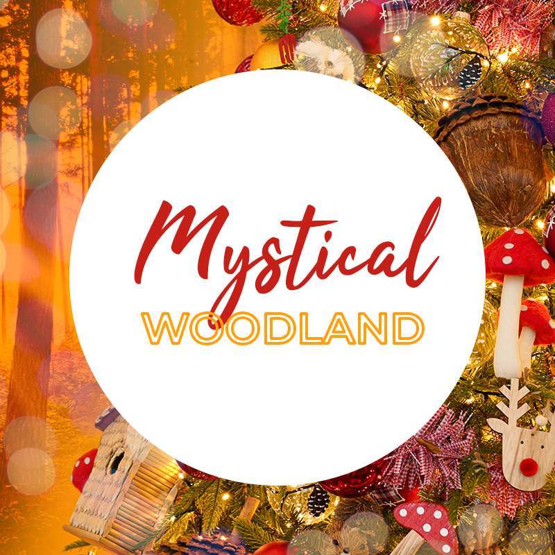 Introducing… Mystical Woodland