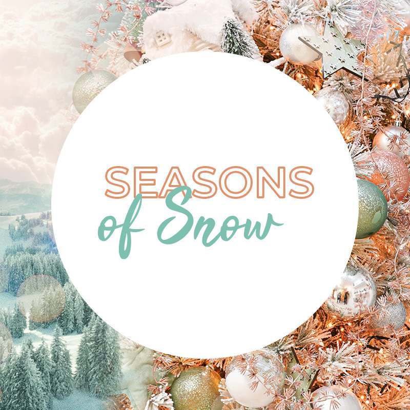 Introducing… Seasons Of Snow