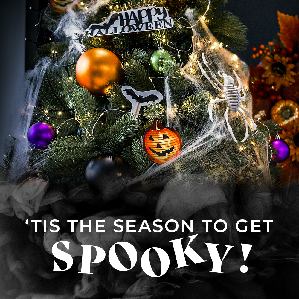 ‘Tis the season to get spooky! 🎃