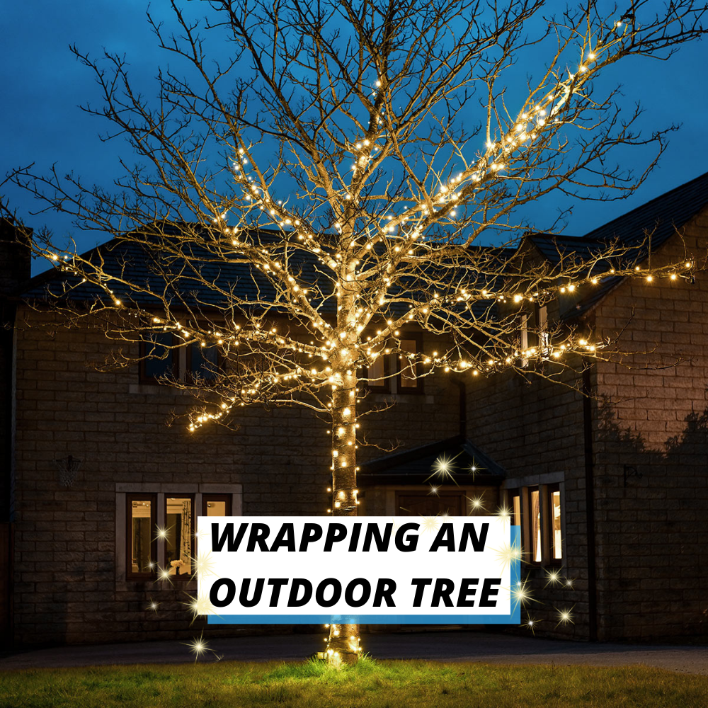 How to install Christmas lights on an outdoor tree with our ConnectGo lights?