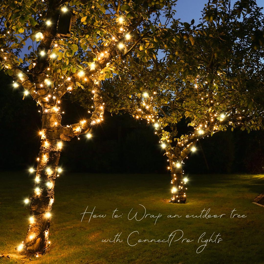 How to wrap Christmas lights around your outdoor trees using ConnectPro®