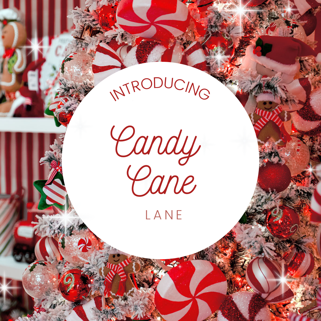 Introducing…Candy Cane Lane