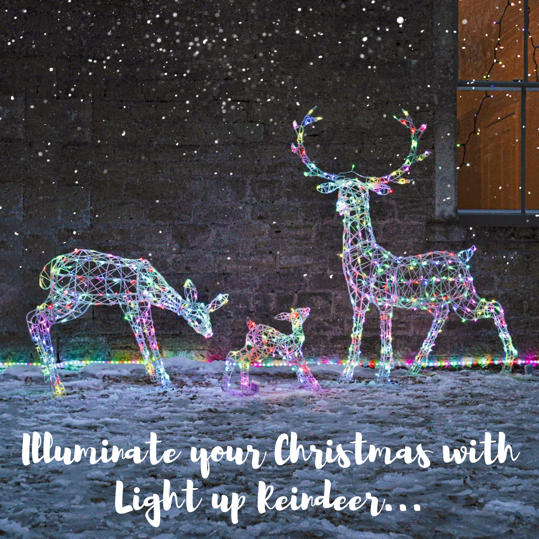 Illuminate Your Christmas with Light up Reindeer- The Ultimate Guide!